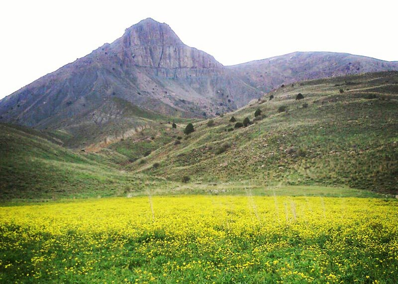 مکان گردشگری هفدهم