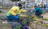 شادکام: آماده‌سازی بجنورد برای نوروز و رمضان آغاز شد