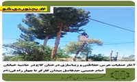 آغاز عملیات هرس حفاظتی و زیباسازی درختان کاج در حاشیه خیابان‌ امام خمینی حدفاصل میدان کارگر تا چهار راه قیام