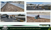 شروع پرشتاب فعالیت های شهرداری در کاشت نهال وخدمات استقبال از بهار