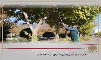 80 درصد درختان بجنورد دارای شناسنامه است