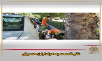 نذر خدمت به عزاداران حسینی