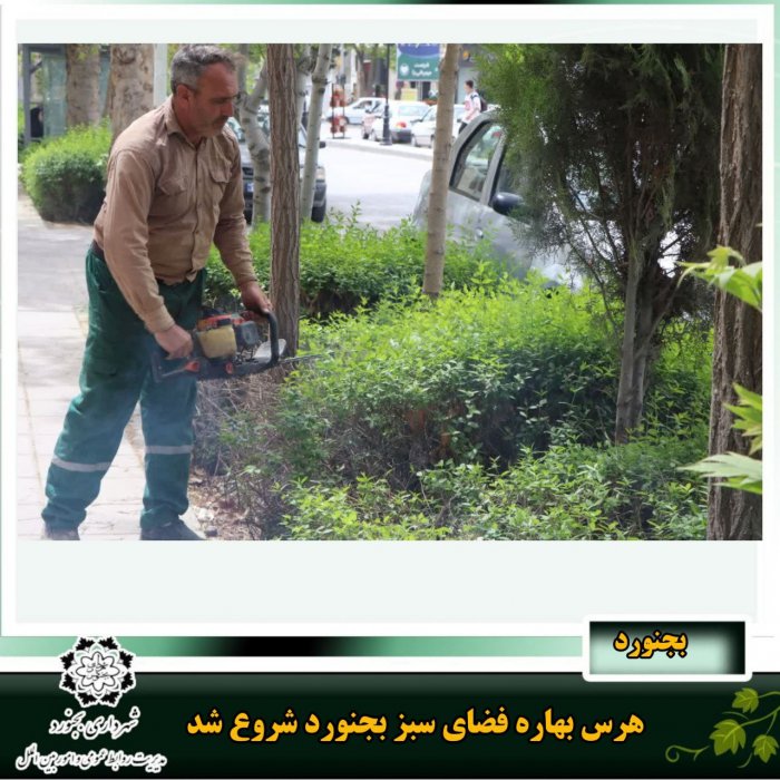 هرس بهاره فضای سبز بجنورد شروع شد