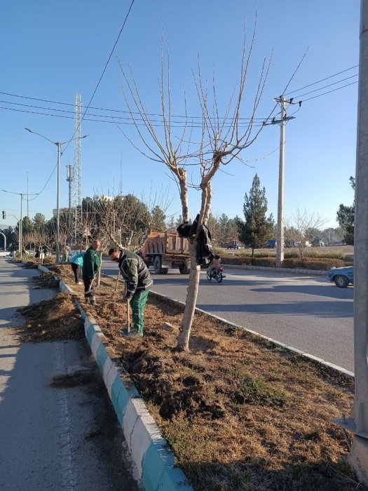 حرکت پرشتاب شهرداری برای تغییر الگوی کشت فضای سبز